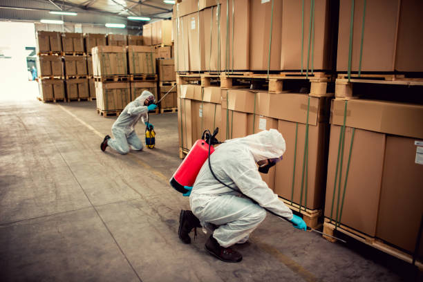 Best Pest Control Near Me  in La Ada Flintridge, CA