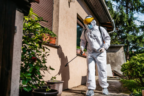 Flea Control Services in La Caada Flintridge, CA