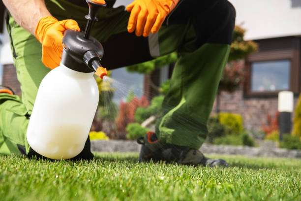 Best Affordable Pest Control Services  in La Ada Flintridge, CA