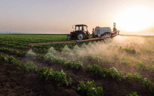 Best Mosquito Control Services  in La Ada Flintridge, CA