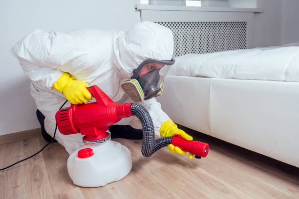 Flea Control Services in La Caada Flintridge, CA