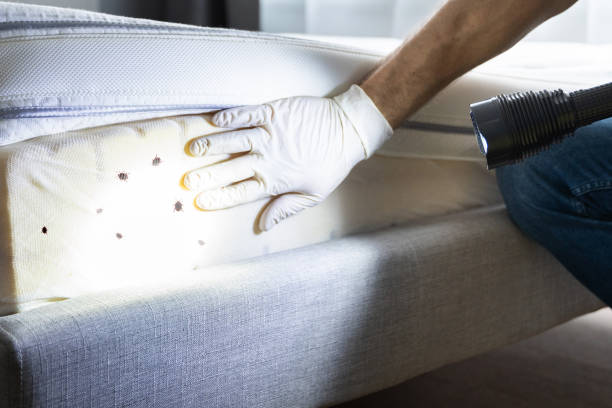 Best Bed Bug Extermination  in La Ada Flintridge, CA