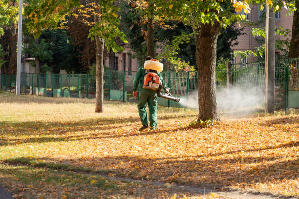 Wasp Removal Services in La Caada Flintridge, CA