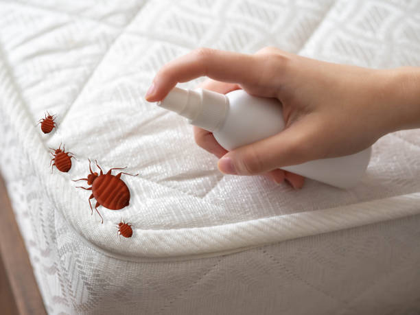 La Caada Flintridge, CA Pest Control Company