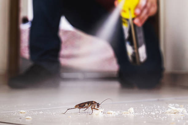 Best Emergency Pest Control  in La Ada Flintridge, CA