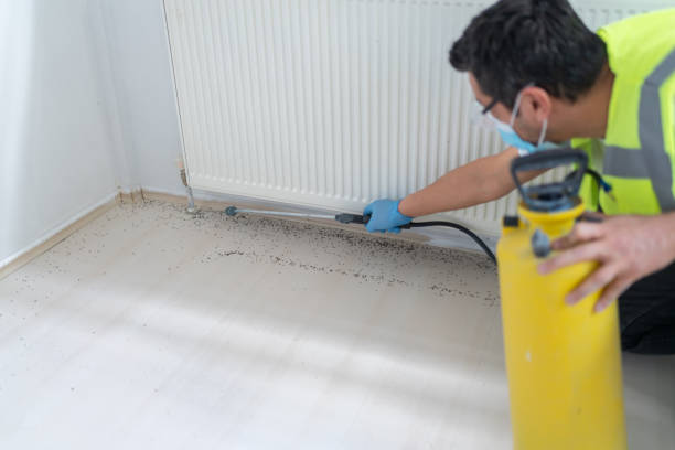 Best Pest Removal Services  in La Ada Flintridge, CA