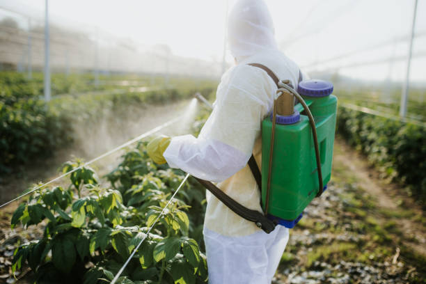 Best Pest Prevention Services  in La Ada Flintridge, CA